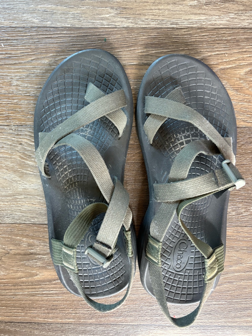Chaco Unisex Olive Green Strappy Sport Sandals